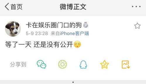 718吃瓜爆料在线,揭秘娱乐圈最新热点事件