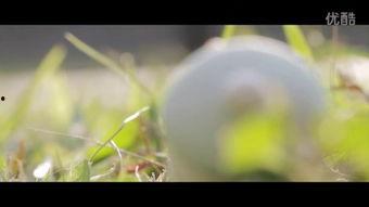 thesun吃瓜,The Sun独家吃瓜大揭秘，娱乐圈幕后真相曝光！