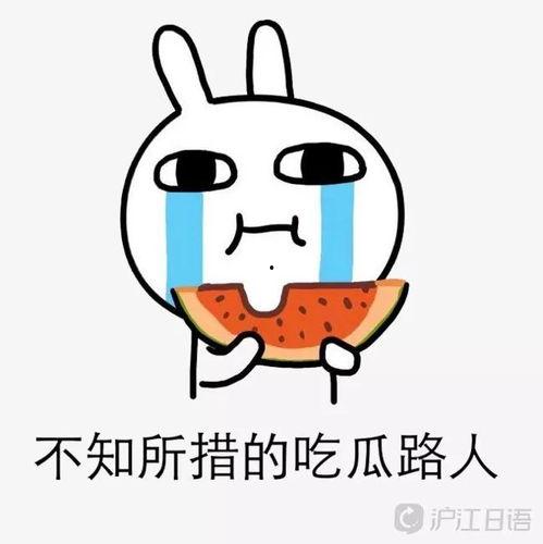 兄弟吵架吃瓜文案,吃瓜群众围观这场家庭闹剧