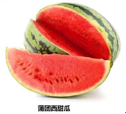 吃瓜季西瓜推荐,吃瓜季西瓜推荐大盘点