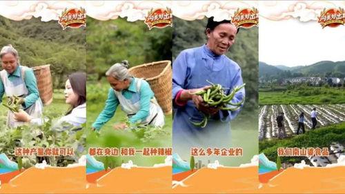 吃瓜心曲,揭秘娱乐圈背后的故事与真相