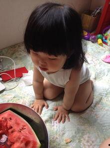 萌宝吃瓜短剧,笑料横生短剧来袭