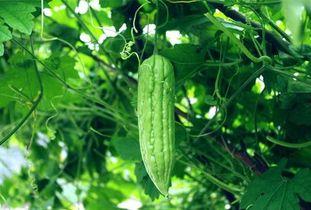 17每日吃瓜,揭秘娱乐圈最新热点事件