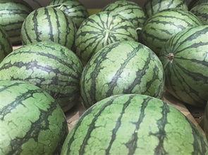 剪头记录吃瓜,剪头记录背后的吃瓜真相