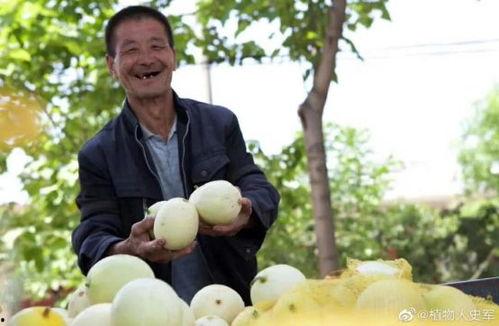 破站吃瓜,揭秘网络热点背后的真相与笑料