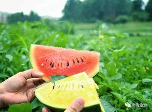 制造话题吸引吃瓜,明星幕后制造话题，吃瓜群众纷纷围观