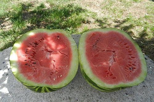 梦见和老婆吃瓜,我与老婆的甜蜜瓜果时光