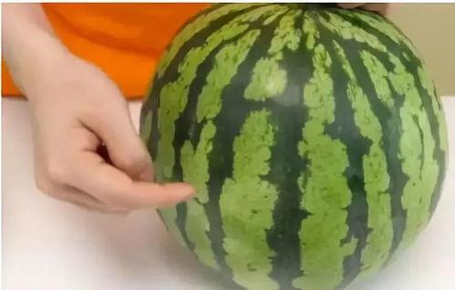 吃西瓜都是裂口瓜,揭秘西瓜裂口背后的美味奥秘