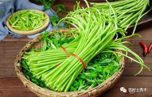 蒿妈吃瓜,揭秘娱乐圈那些不为人知的幕后故事