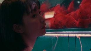 女孩吃瓜的视频,女孩吃瓜视频里的欢乐时光