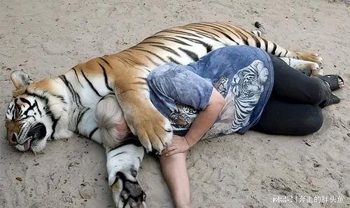 马虎虎吃瓜视频