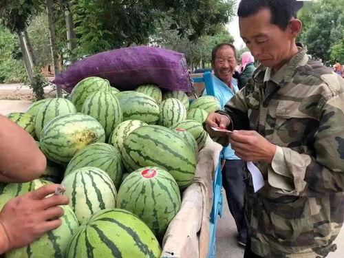 双总吃瓜,揭秘娱乐圈幕后风云