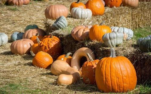 佤味吃瓜,探寻云南佤族独特美食风情