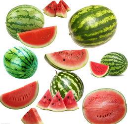 广西南校吃瓜,校园生活趣事大揭秘