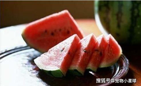 吃瓜路过打酱油,揭秘娱乐圈幕后风云