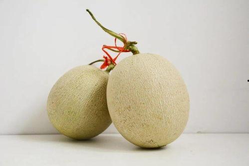 吃瓜59.9,揭秘夏日消暑新潮流