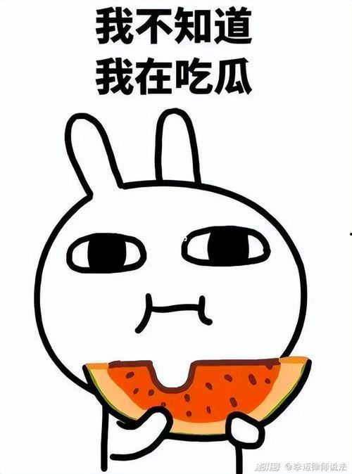 吃瓜加油图片,见证时代变迁的视觉盛宴