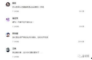 吃瓜群众网acfun,吃瓜群众网背后的娱乐盛宴