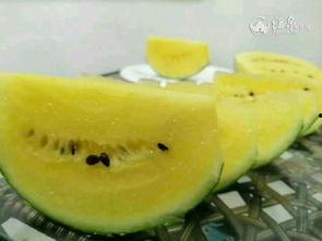 各种吃瓜快来围观,揭秘娱乐圈最新热点事件