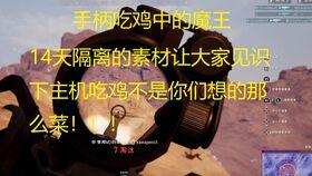 吃鸡id小呆瓜,一场欢乐的生存之旅