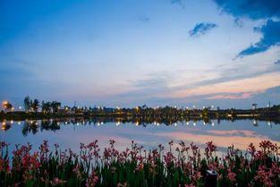 天府公园吃瓜视频高清,高清视频带你领略夏日风情