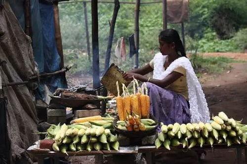 北海街头吃瓜事件,一场引发热议的网络围观
