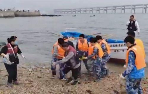 大连海事吃瓜视频