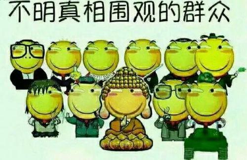 cheems 吃瓜群众,吃瓜群众的欢乐源泉