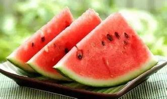 甘肃学校吃瓜,揭开校园食品安全背后的真相